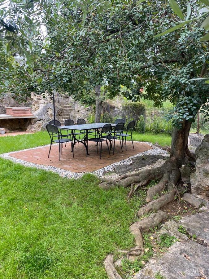 Villa Paolina Ceriale - App. 6 Posti Dış mekan fotoğraf
