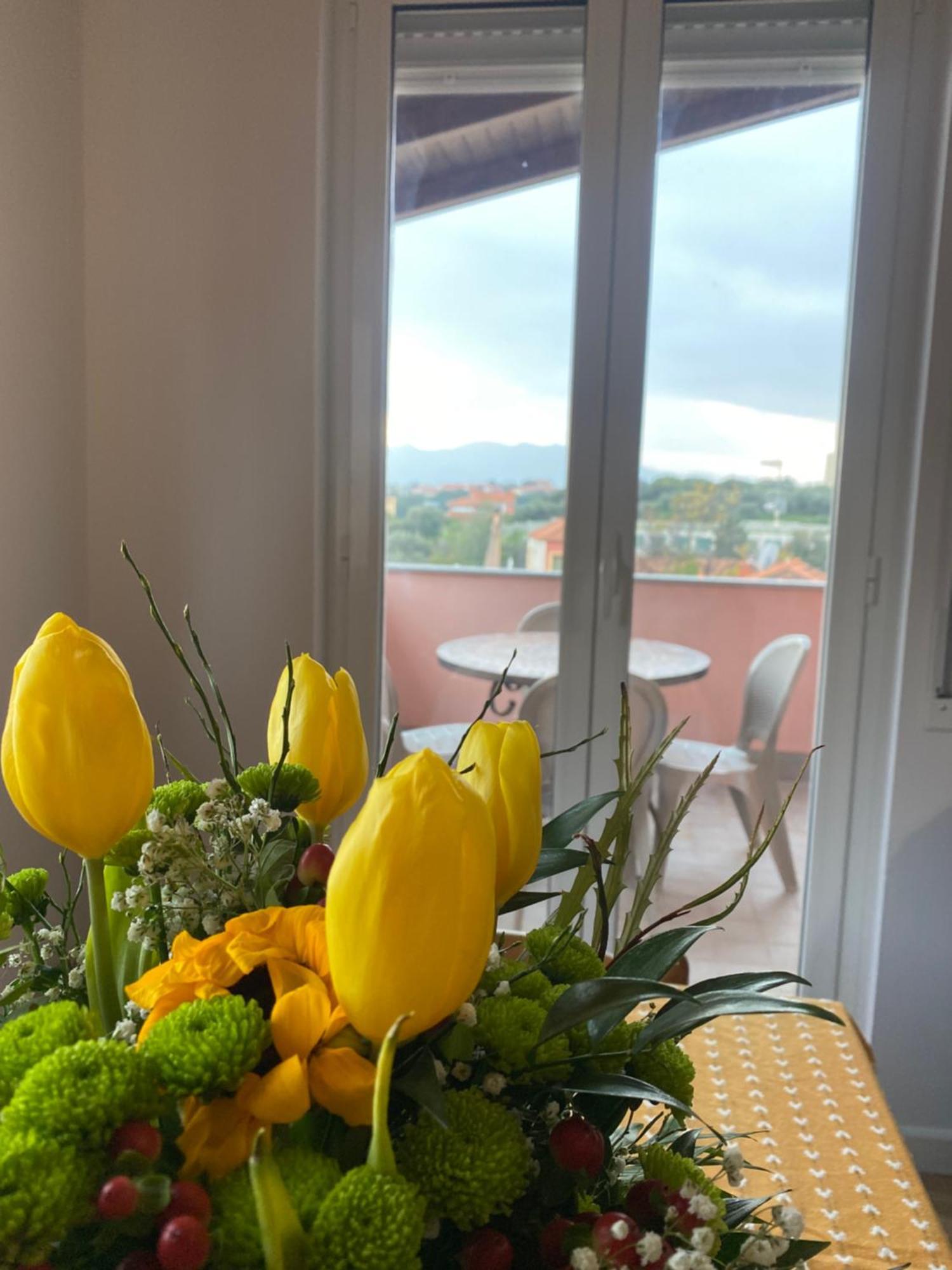 Villa Paolina Ceriale - App. 6 Posti Dış mekan fotoğraf